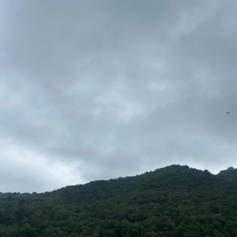 Fotosegnalazione di Ortovero