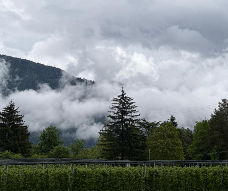 Fotosegnalazione di Naz sciaves