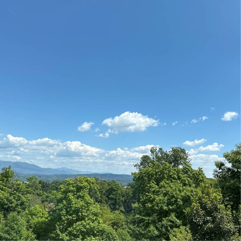 Fotosegnalazione di Oleggio castello