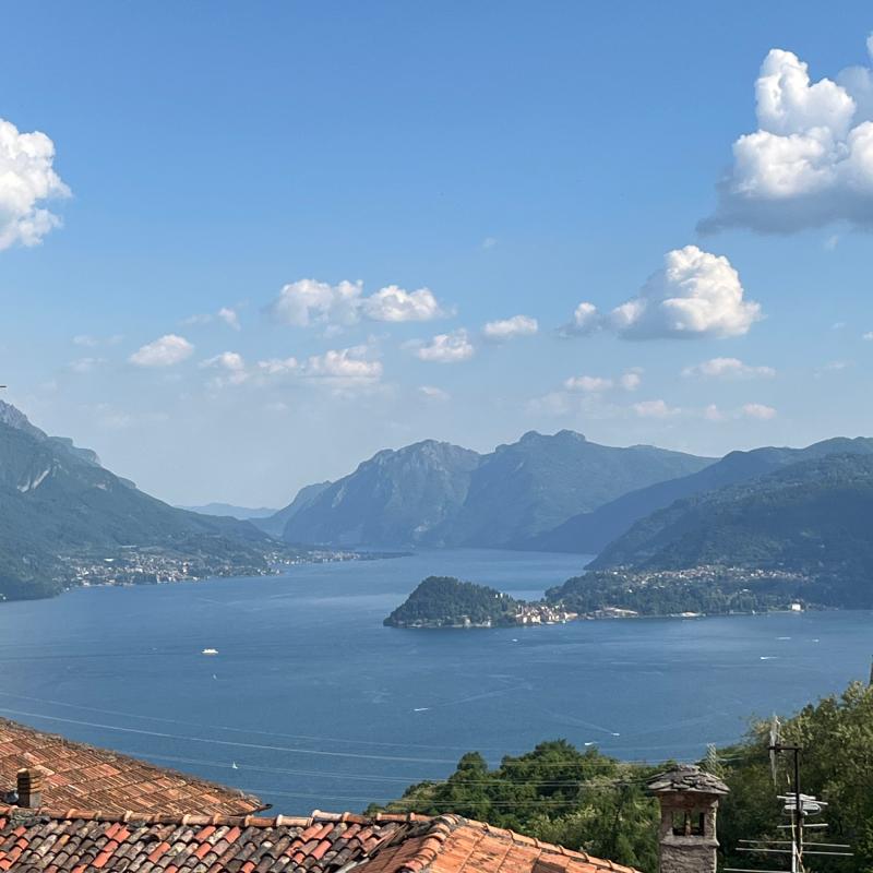 Vista logo como ramo lecco