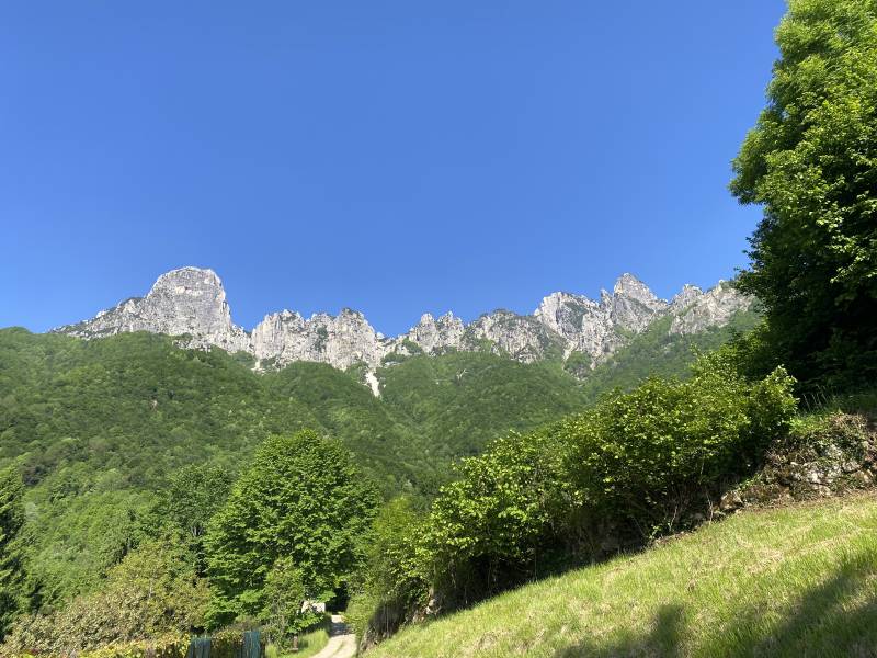 malunga