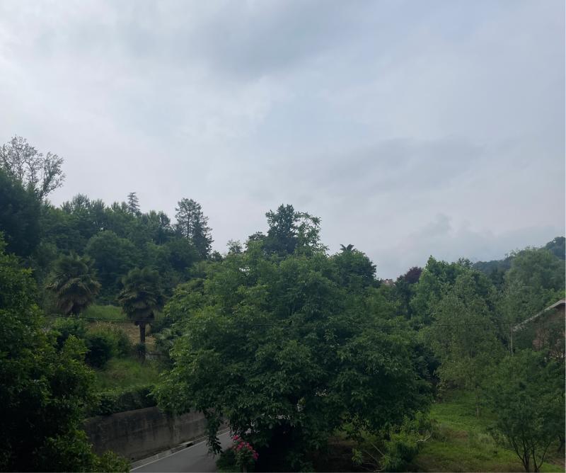 Fotosegnalazione di Torino reaglie