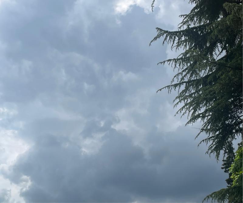 Fotosegnalazione di Torino reaglie
