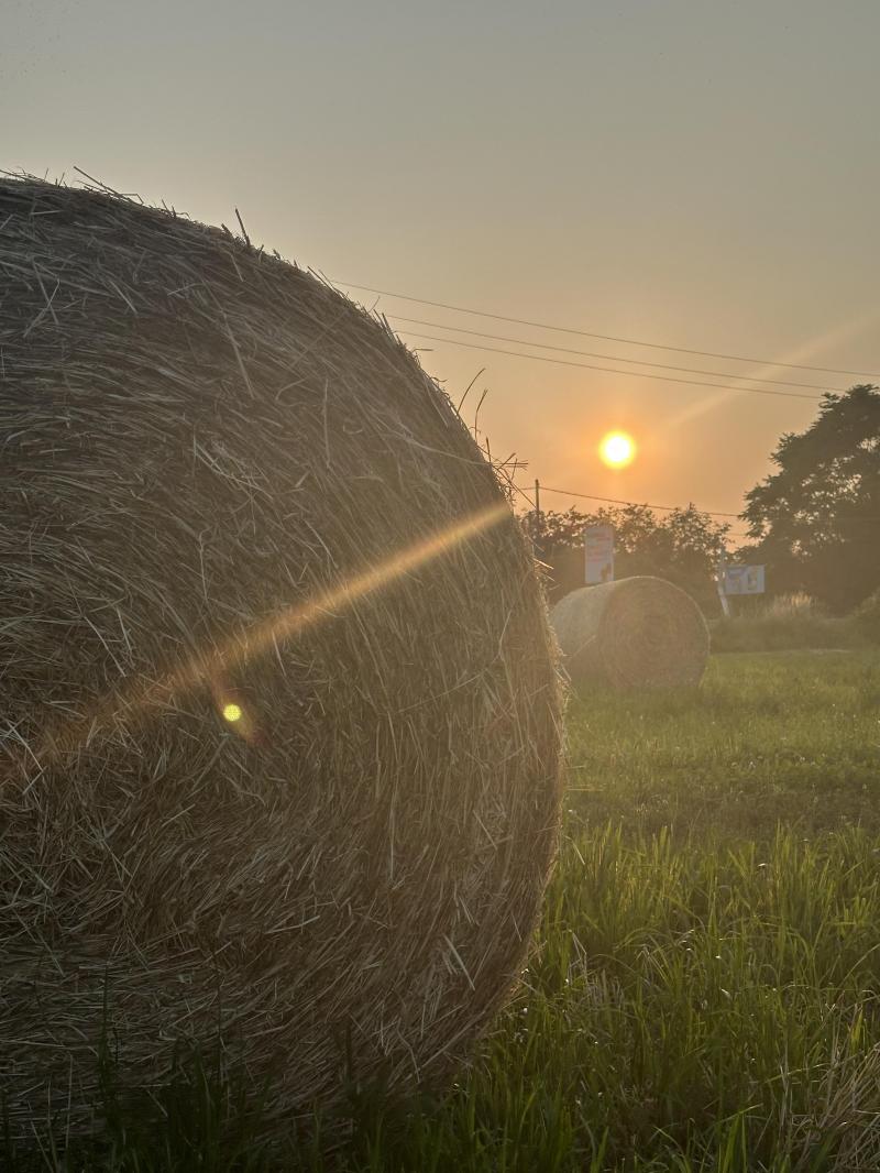 tramonto sul fieno
