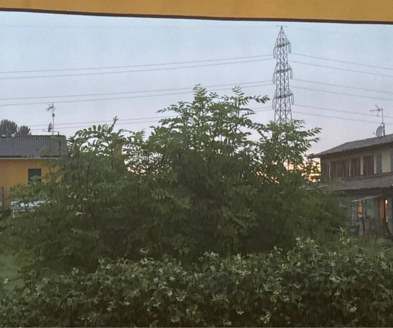 Fotosegnalazione di Villanova di camposampiero