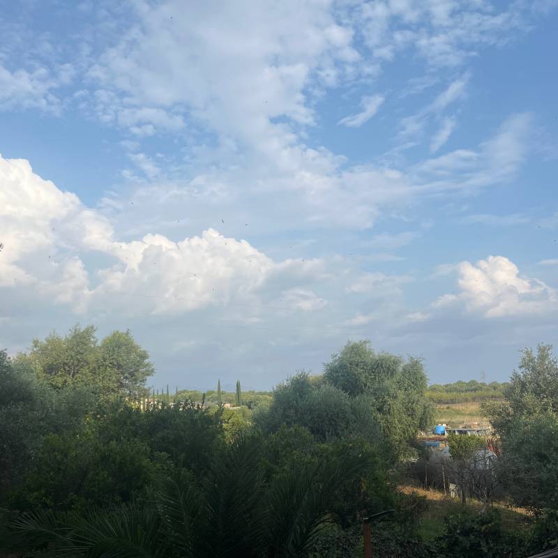 Fotosegnalazione di Campofelice di roccella