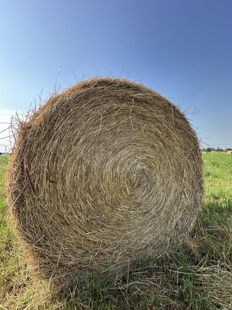 caldo ma ventilato