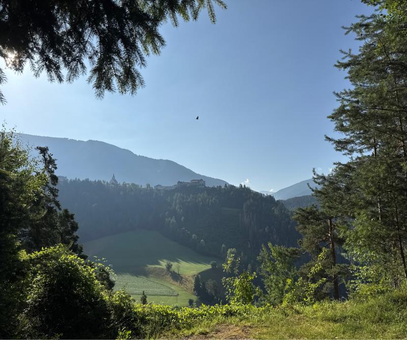 Fotosegnalazione di Naz sciaves