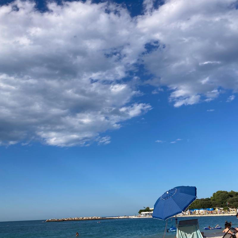 Fotosegnalazione di Ancona parco del conero