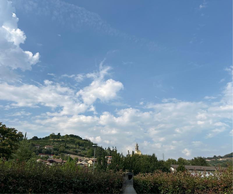 Fotosegnalazione di Carobbio degli angeli