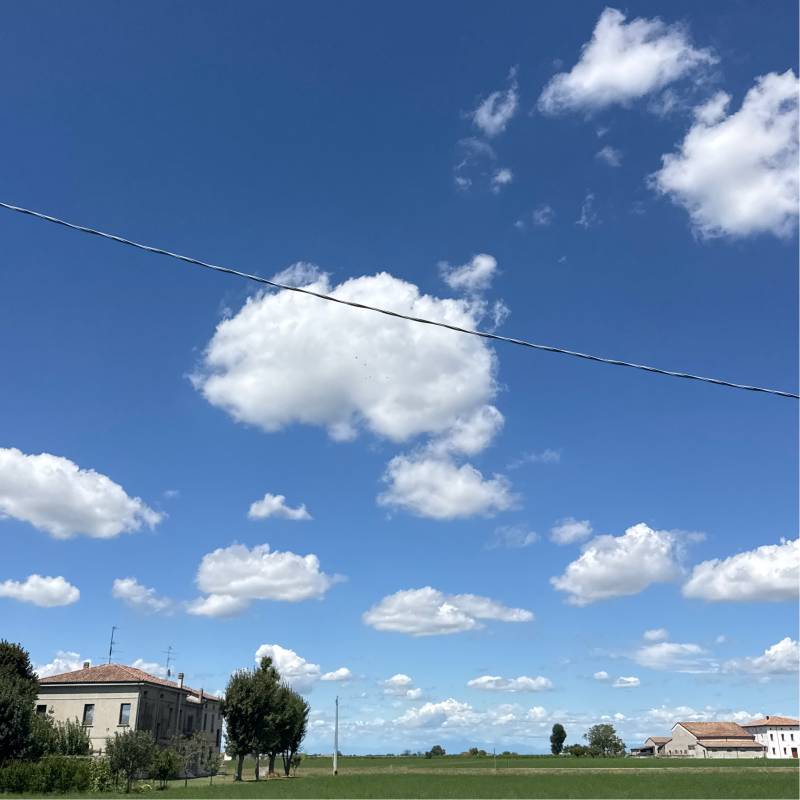 Fotosegnalazione di Gonzaga