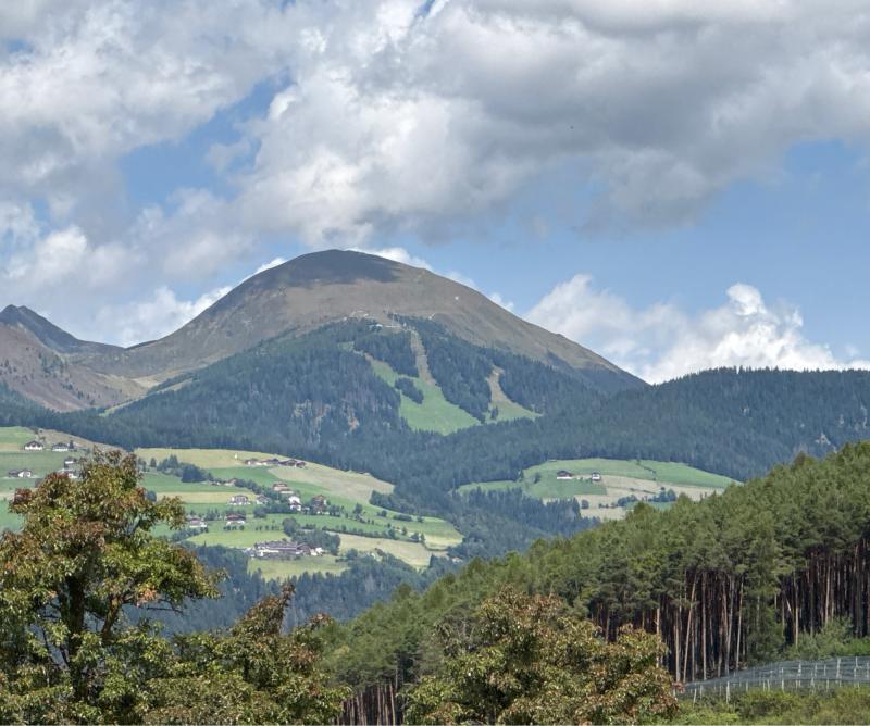 Fotosegnalazione di Naz sciaves