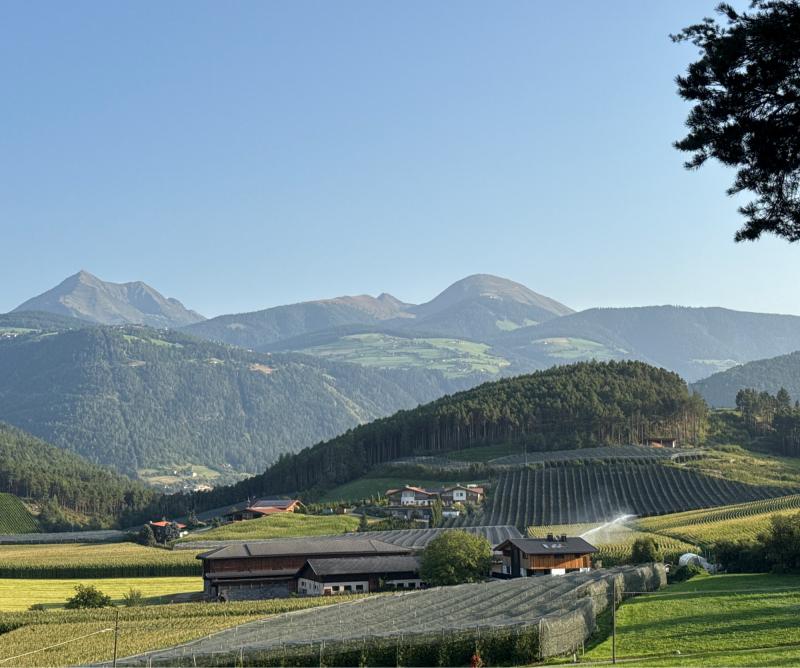 Fotosegnalazione di Naz sciaves