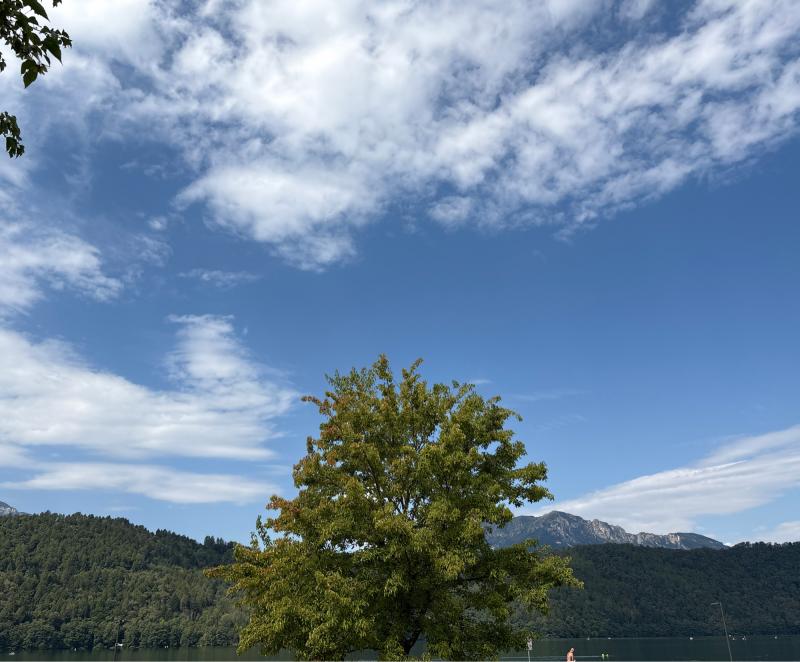 Fotosegnalazione di Levico terme