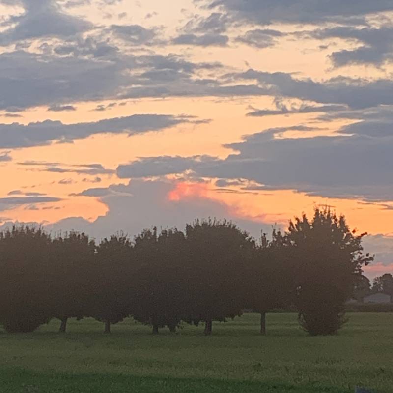 Fotosegnalazione di Schiavon