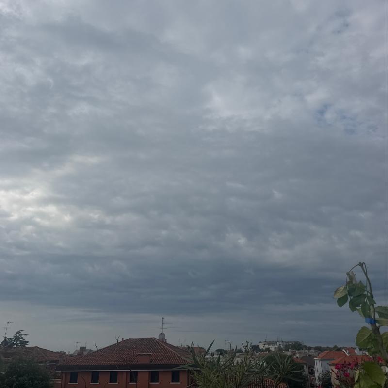 Fotosegnalazione di Lido di venezia