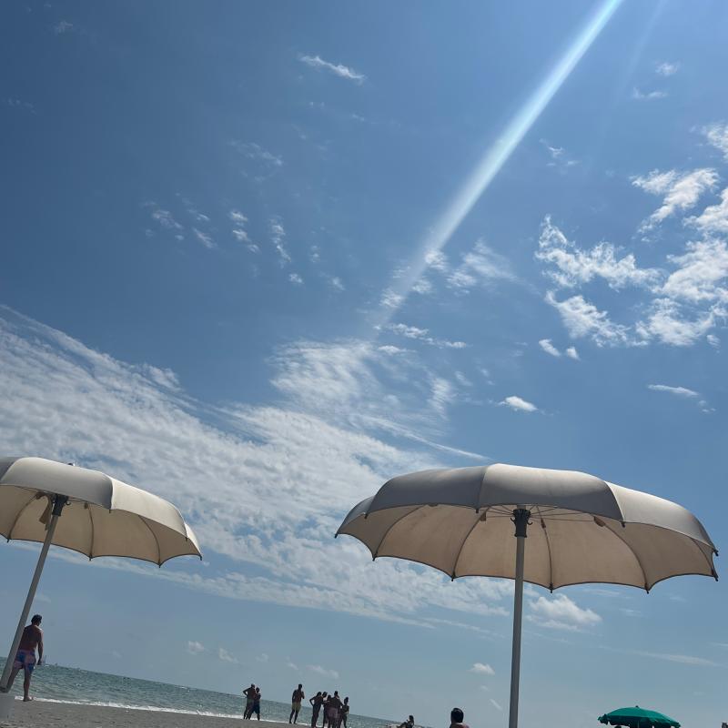 Fotosegnalazione di Punta marina