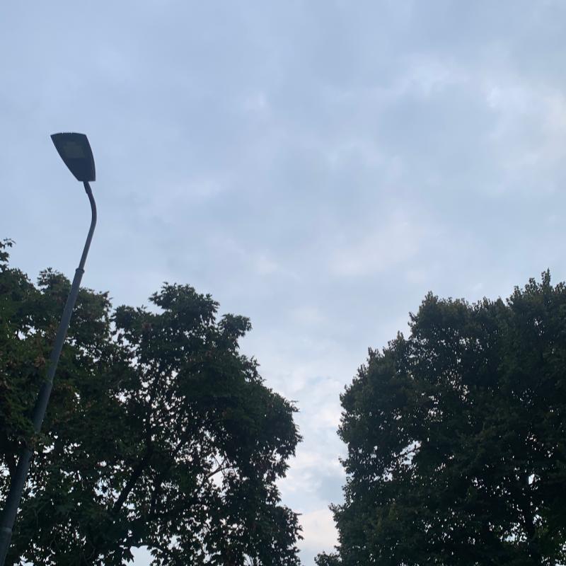 Fotosegnalazione di Milano niguarda