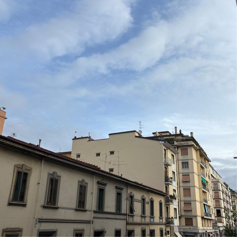 Fotosegnalazione di Firenze centro storico