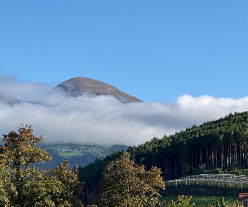 Fotosegnalazione di Naz sciaves