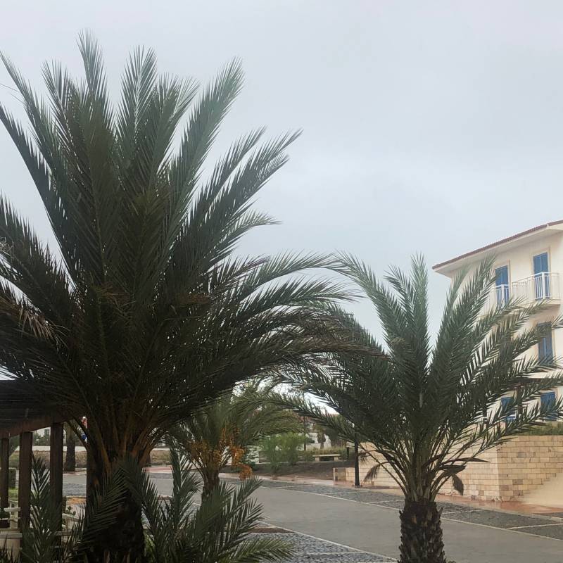 Piove da stamattina alle 800