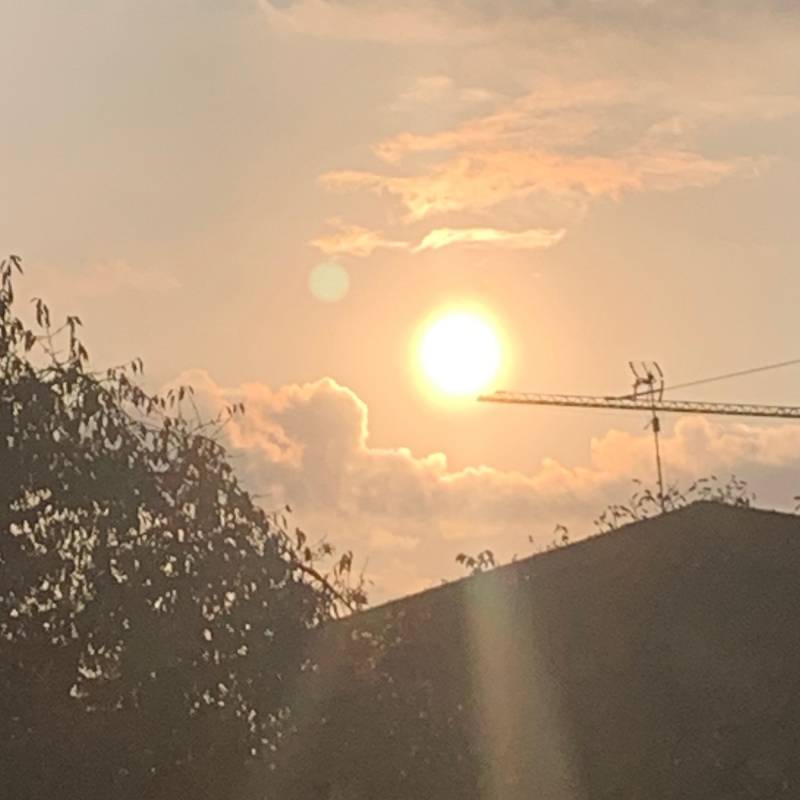 Fotosegnalazione di Gattico