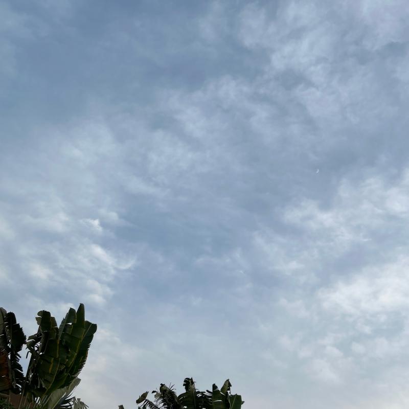 Fotosegnalazione di Salalah
