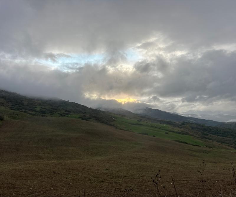 Fotosegnalazione di Montemaggiore belsito