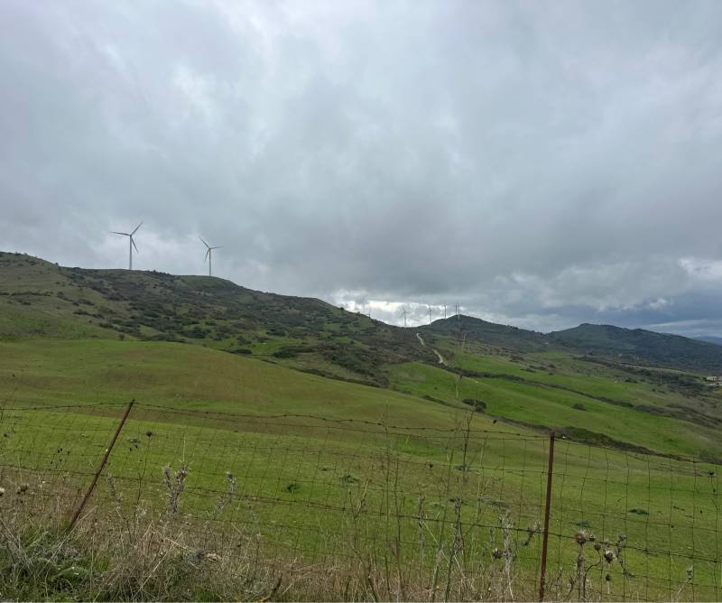 Fotosegnalazione di Montemaggiore belsito