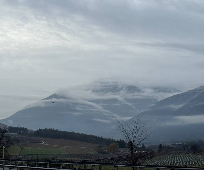 Fotosegnalazione di Naz sciaves