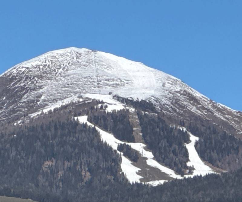 Fotosegnalazione di Naz sciaves