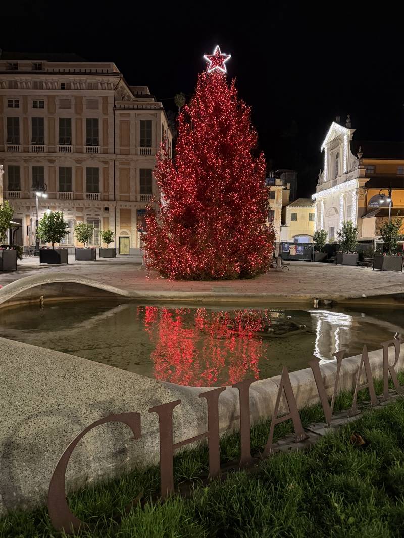 lalbero di natale riflesso
