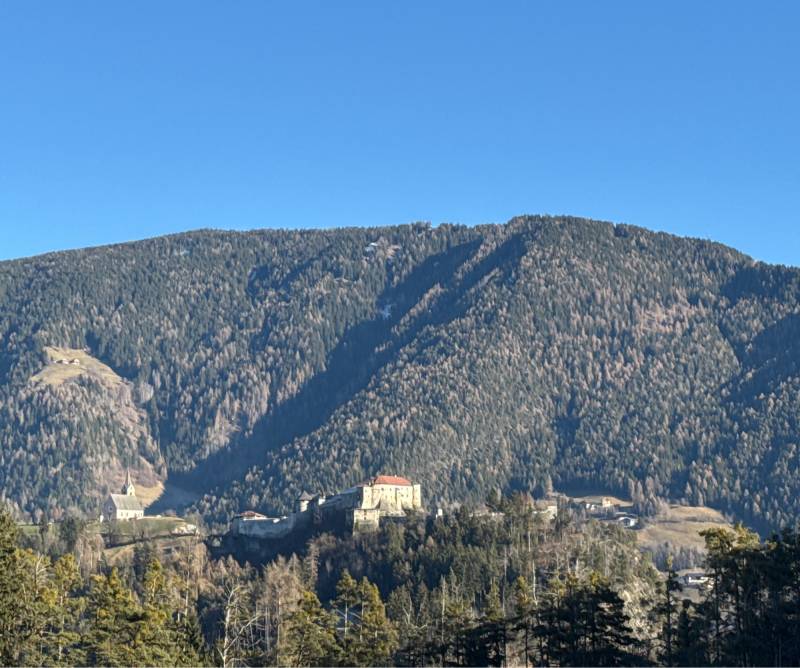 Fotosegnalazione di Naz sciaves