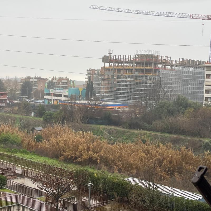 Fotosegnalazione di Roma torrino