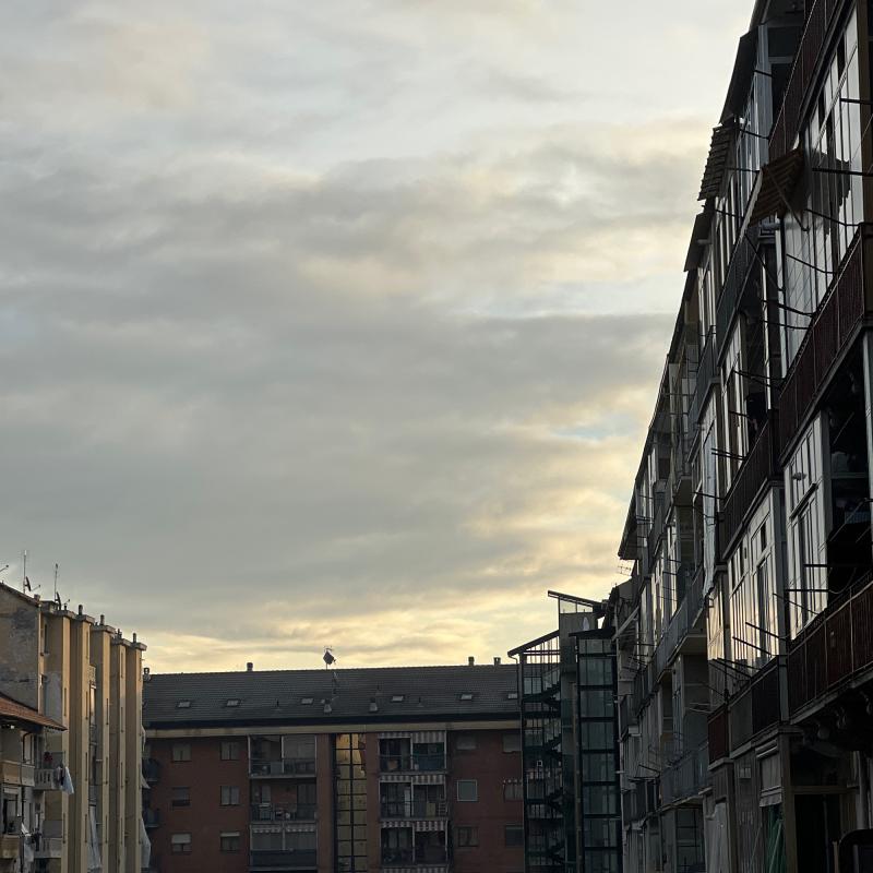 Fotosegnalazione di Torino borgo san paolo - cit turin