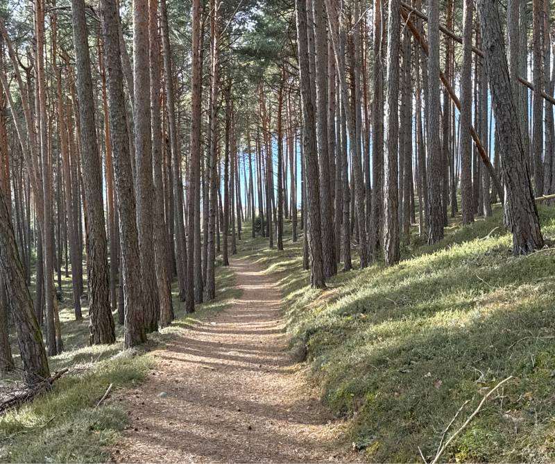 Fotosegnalazione di Naz sciaves