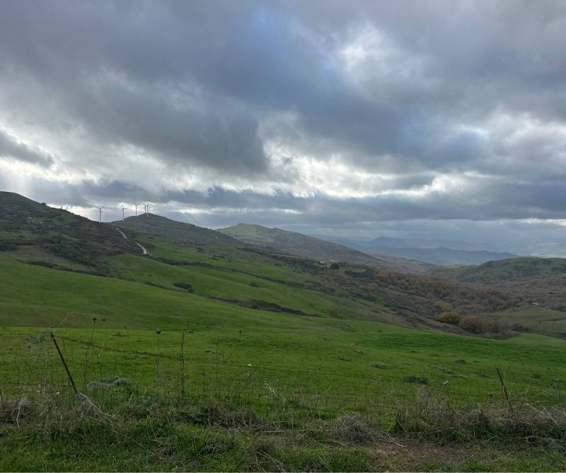 Fotosegnalazione di Montemaggiore belsito