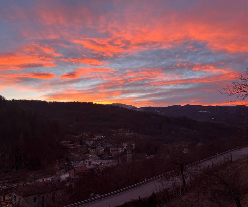 Fotosegnalazione di Massimino