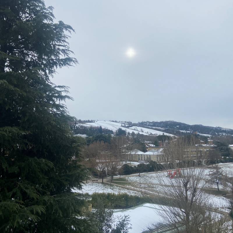 Meteo in questo momento a Pianoro ce lho coperto