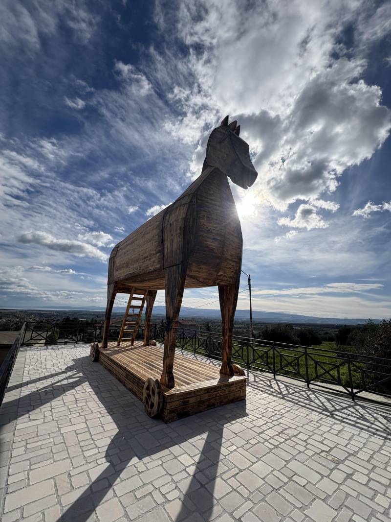 cavallo di - attrazione turistica