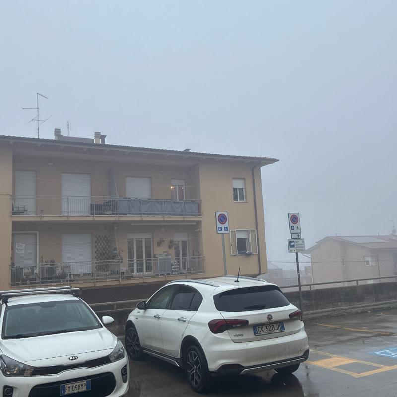 Urbino
