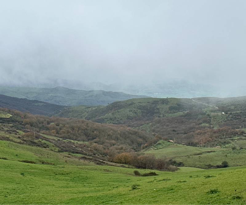 Fotosegnalazione di Montemaggiore belsito