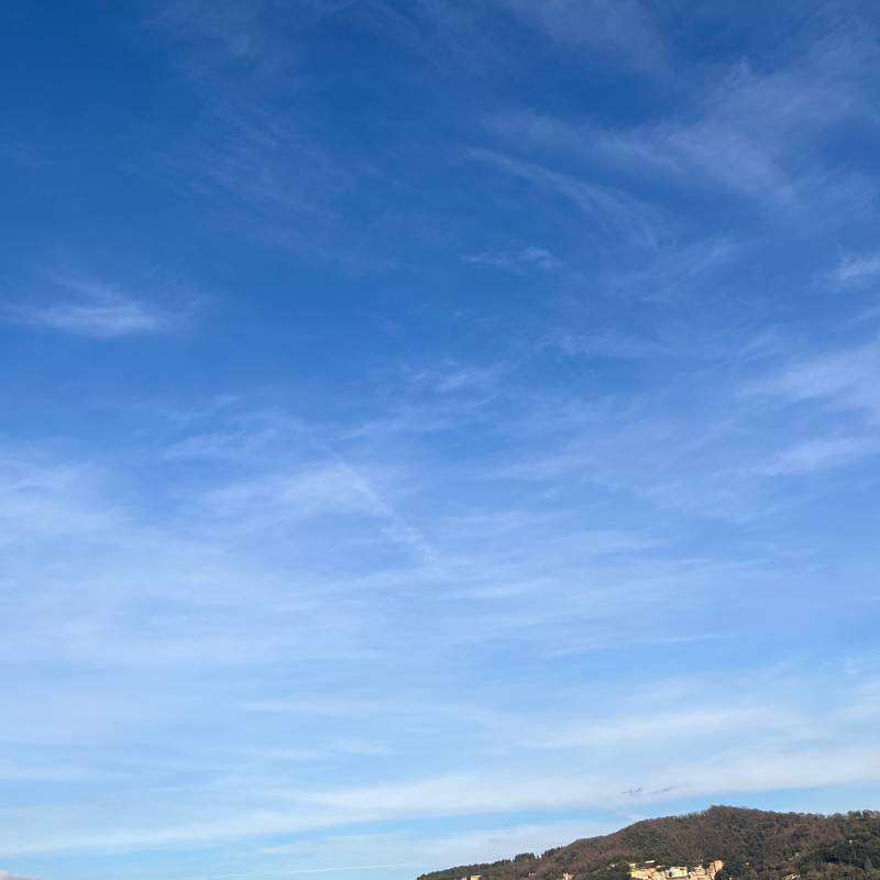 Fotosegnalazione di Genzano di roma