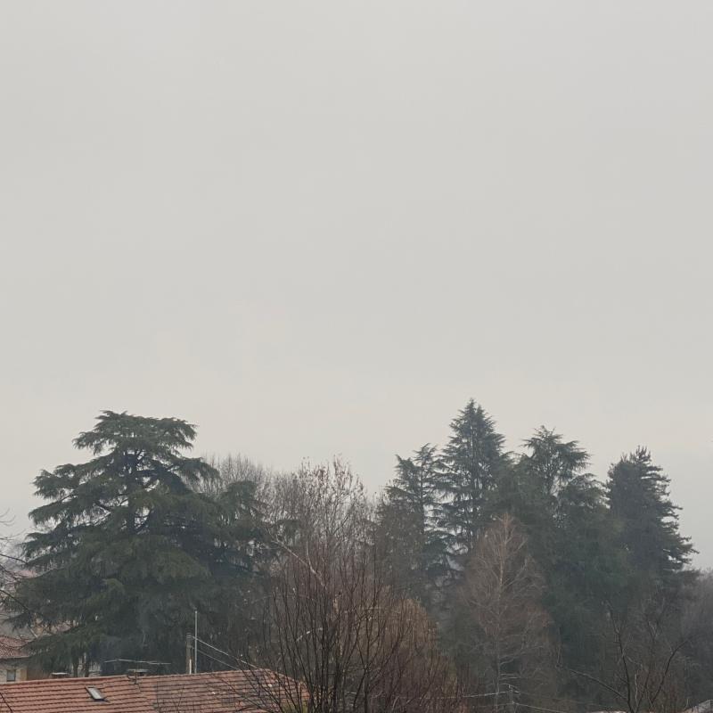 Fotosegnalazione di Biandronno