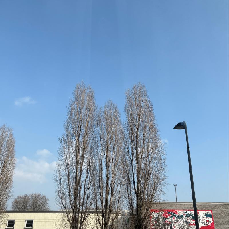 Fotosegnalazione di Milano citta' studi