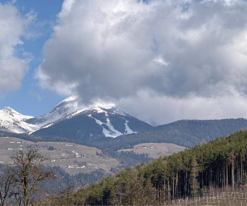 Fotosegnalazione di Naz sciaves