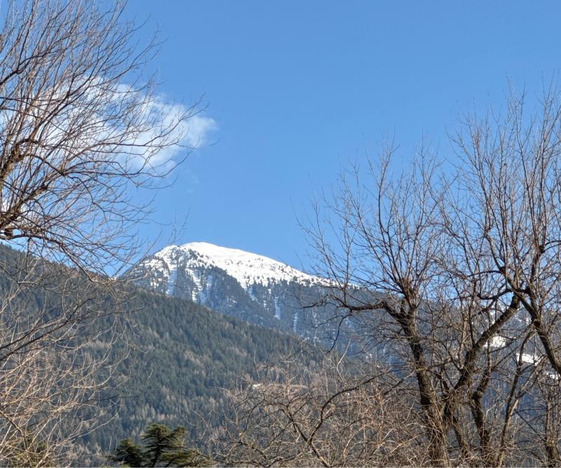 Fotosegnalazione di Bressanone