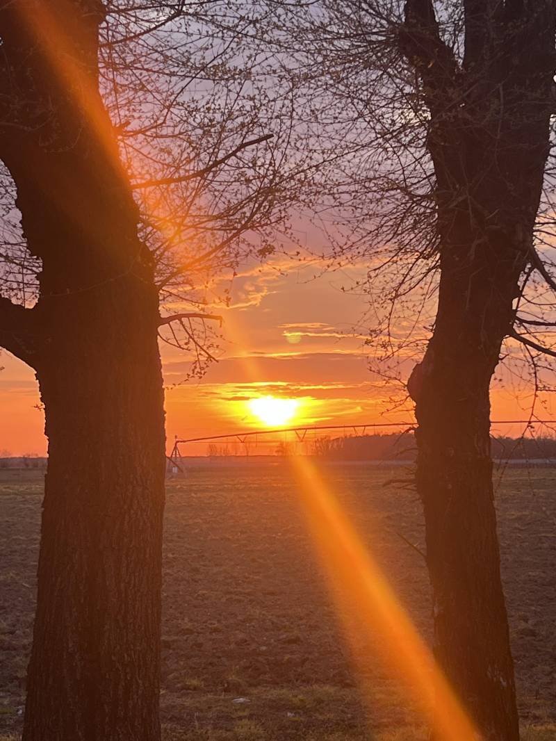 tramonto colorato