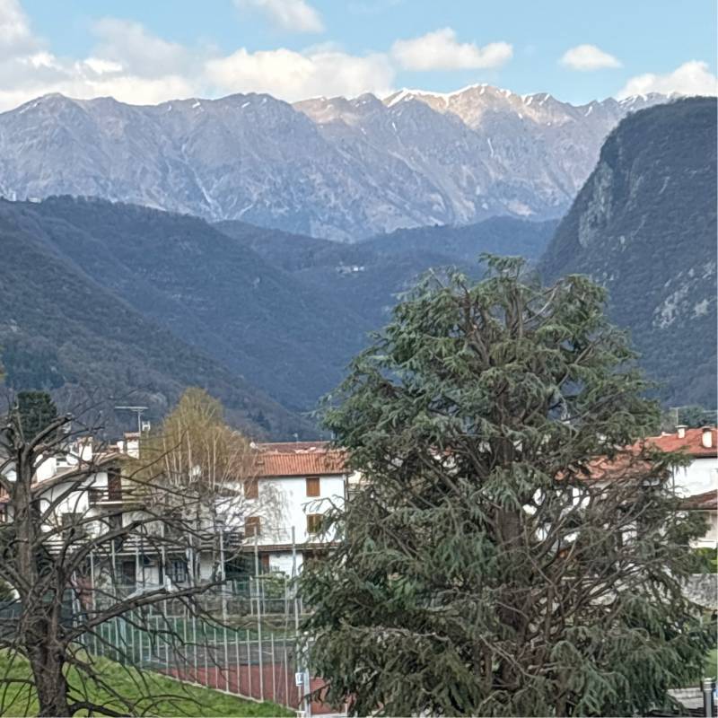 Fotosegnalazione di Nimis
