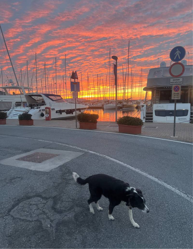 Peggy alla marina di Varazze